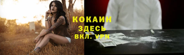 метадон Богородск