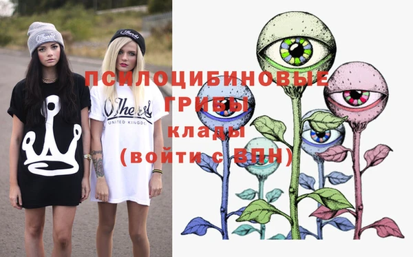 хмурый Богородицк