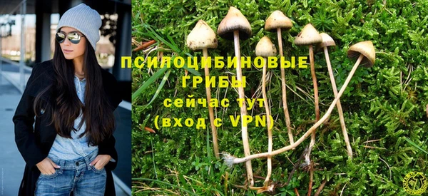 стафф Богданович